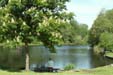 La-Bastide - Limousin