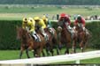 Paardenraces