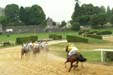 La-Bastide Frankrijk Limousin