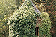 Duiventil