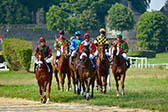 Paardenraces