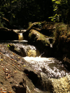 Beekje Valentine La-Bastide vakantiedomein Frankrijk Haute-Vienne bosbeek Nouvelle-Aquitaine beekje