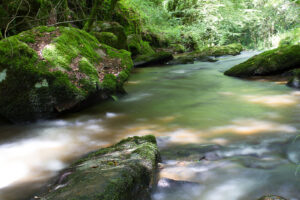 Beekje Valentine La-Bastide vakantiedomein Frankrijk Haute-Vienne bosbeek Nouvelle-Aquitaine beekje