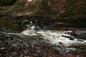 Beekje Valentine La-Bastide vakantiedomein Frankrijk Haute-Vienne bosbeek Nouvelle-Aquitaine beekje