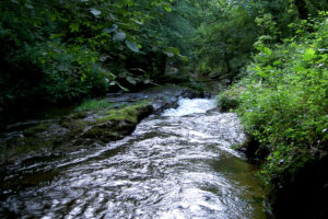 Beekje Valentine La-Bastide vakantiedomein Frankrijk Haute-Vienne bosbeek Nouvelle-Aquitaine beekje