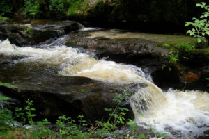 Beekje Valentine La-Bastide vakantiedomein Frankrijk Haute-Vienne bosbeek Nouvelle-Aquitaine beekje