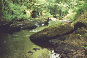 Beekje Valentine La-Bastide vakantiedomein Frankrijk Haute-Vienne bosbeek Nouvelle-Aquitaine beekje