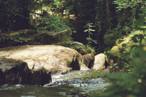 Beekje Valentine La-Bastide vakantiedomein Frankrijk Haute-Vienne bosbeek Nouvelle-Aquitaine beekje