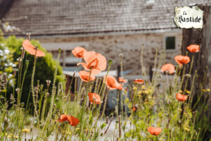 Privacybeleid vakantiedomein La-Bastide